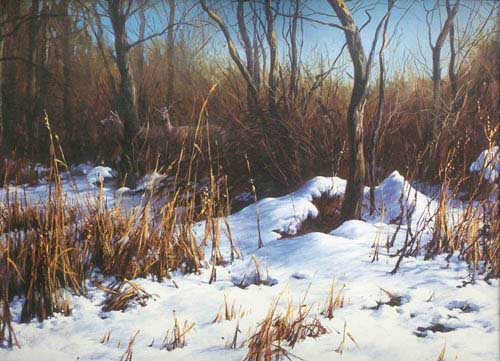 Painting Code#20023-Landscape in Winter