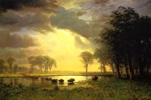 Painting Code#20277-Bierstadt, Albert(USA) - The Buffalo Trail