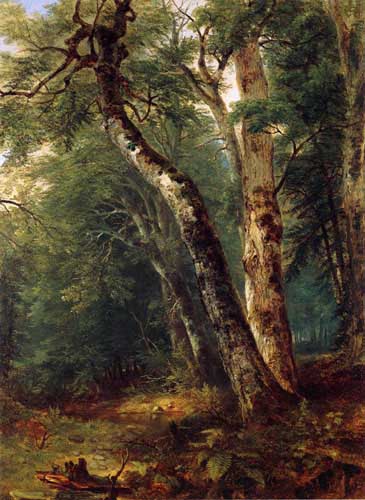 Painting Code#2954-Asher B. Durand - Woodland Interior