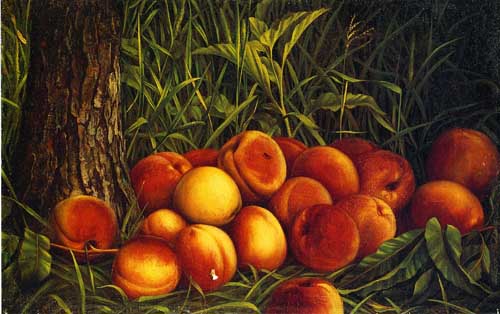 Painting Code#3647-Levi Wells Prentice - Peaches