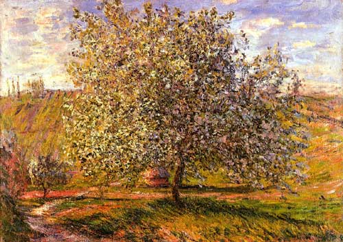 Painting Code#41478-Monet, Claude - Tree in Flower near Vetheuil