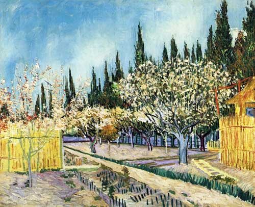 Painting Code#41578-Vincent Van Gogh - Orchard Surrounded by Cypresses