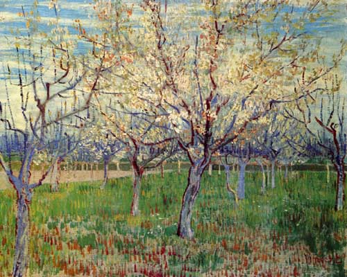 Painting Code#41579-Vincent Van Gogh - Orchard with Blossoming Apricot Trees