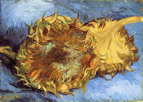 Painting Code#41594-Vincent Van Gogh - Still Life with Two Sunflowers 