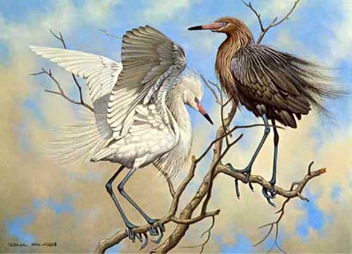 Painting Code#5001-Birds