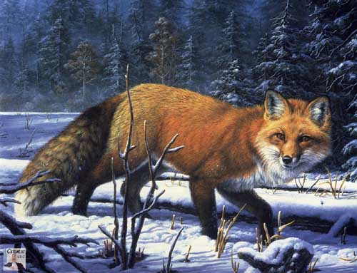 Painting Code#5006-Red Fox