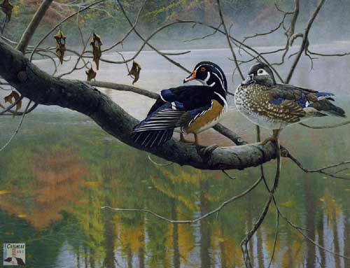Painting Code#5029-Wood Ducks