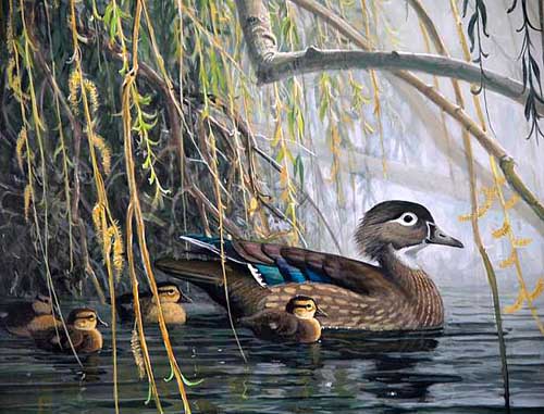 Painting Code#5041-Duck Family