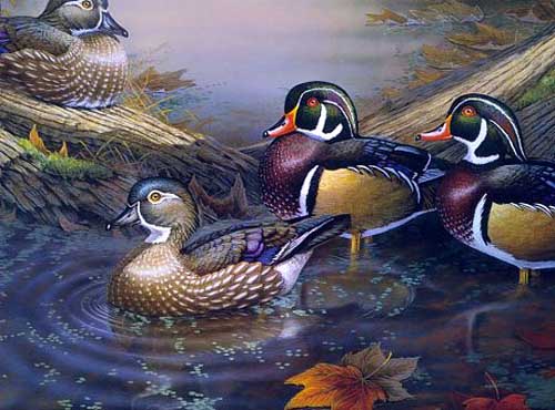 Painting Code#5042-Mandarin Ducks