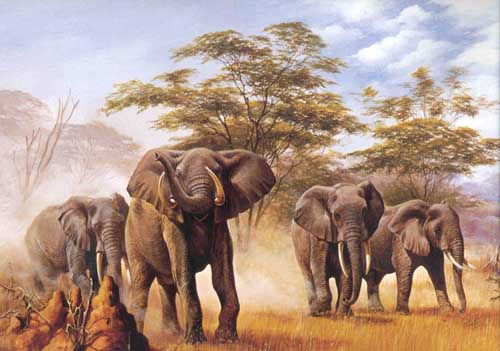Painting Code#5047-Elephants