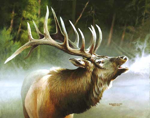 Painting Code#5062-Spencer Williams: Misty Morning Elk 