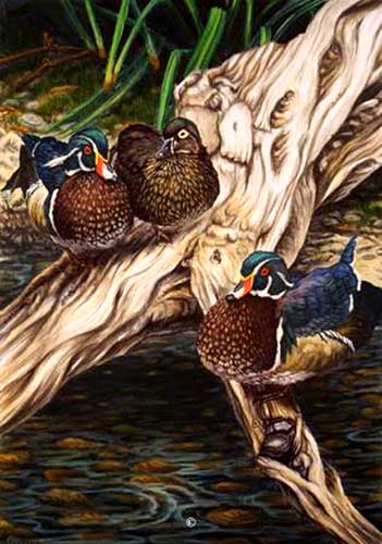 Painting Code#5065-Mandarin Ducks