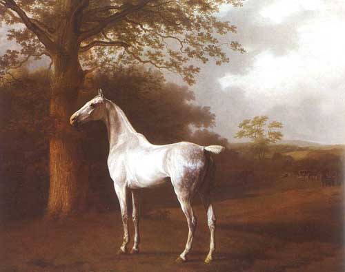 Painting Code#5075-Agasse, Jacques-Laurent: White Horse in Pasture