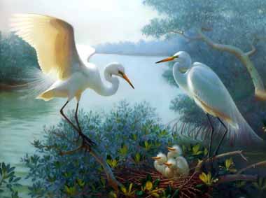 Painting Code#5093-Great Egrets &amp; chicks