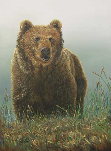 Painting Code#5095-Grizzly Bear