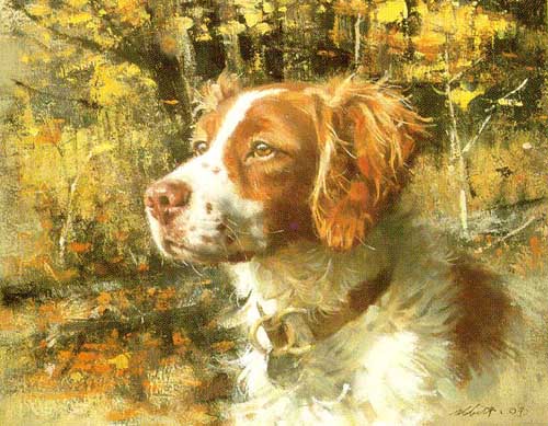 Painting Code#5107-Buck - Brittany Spaniel