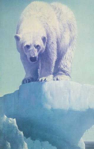 Painting Code#5114-Polar Bear