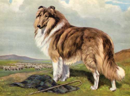 Painting Code#5172-Edwin Megargee - Dogs  