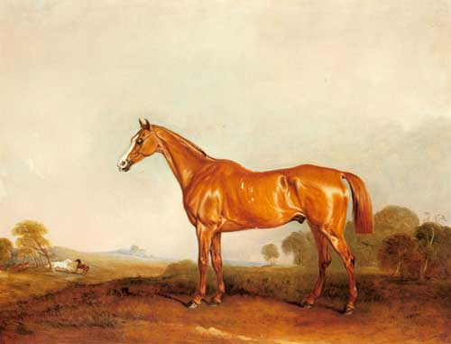 Painting Code#5274-Ferneley, Snr., John(UK): A Golden Chestnut Hunter in a Landscape