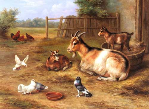 Painting Code#5301-Hunt, Edgar(UK): A Farmyard Scene with goats, chickens, doves