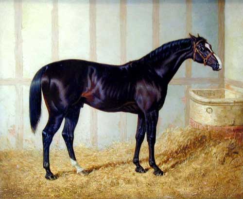 Painting Code#5488-A Black Horse in Stable