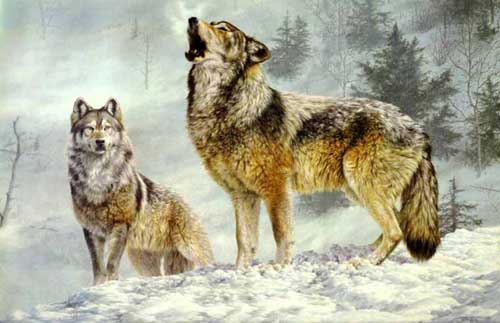 Painting Code#5575-Wolves