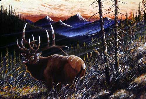 Painting Code#5585-Deer