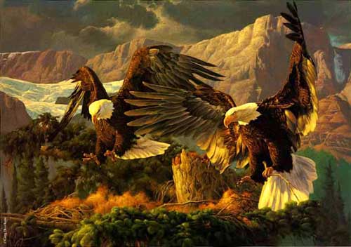 Painting Code#5605-Bald Eagles