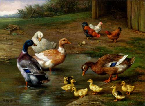 Painting Code#5631-Hunt, Edgar(UK): Chickens, Ducks and Ducklings Paddling