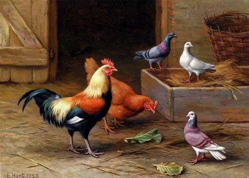 Painting Code#5633-Hunt, Edgar(UK): Chickens, Pigeons and a Dove