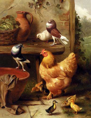 Painting Code#5638-   
Hunt, Edgar(UK): A Chicken, Doves, Pigeons And Ducklings 
 
