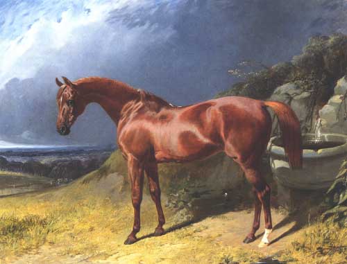 Painting Code#5675-John Frederick Herring Sr. - Chestnut A Racehorse