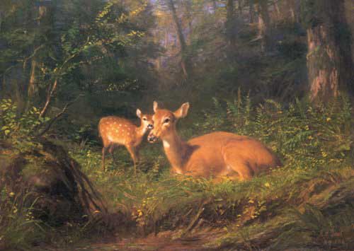 Painting Code#5688-Arthur Fitzwilliam Tait --Dow And Fawn