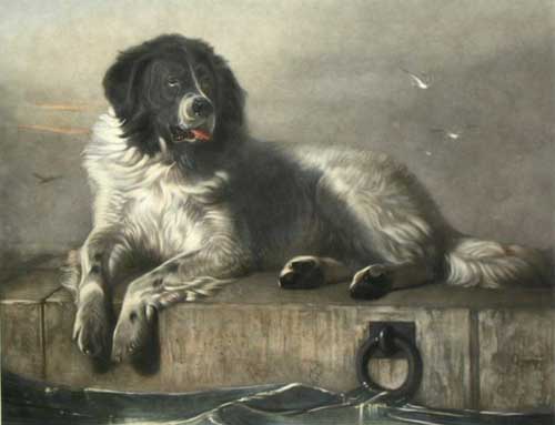 Painting Code#5773-Edwin Henry Landseer - Distinguished Member of the Humane Society