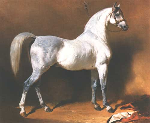 Painting Code#5784-Dedreux, Alfred(France) - An Arab Stallion