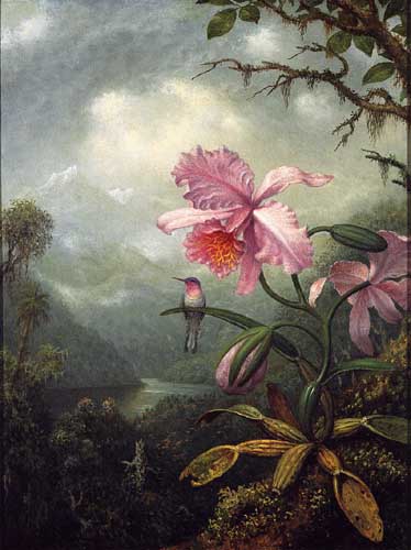 Painting Code#6223-Martin Johnson Heade - Hummingbird Perched on an Orchid Plant