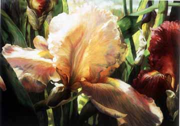 Painting Code#6465-Iris Garden
