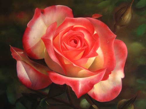 Painting Code#6501-A Red Rose